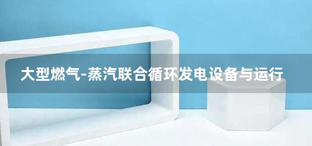 大型燃气-蒸汽联合循环发电设备与运行 电气分册